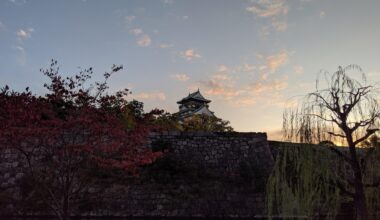 Osaka castle, November 2019