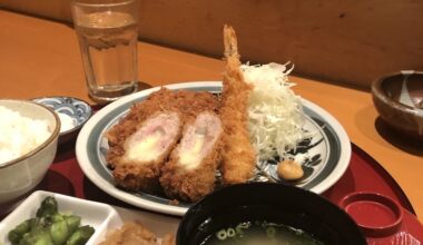 Tonkatsu for dinner