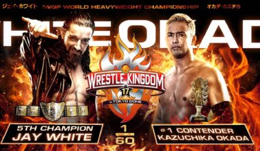 Graphic I created for the Wrestle Kingdom 17 Main Event