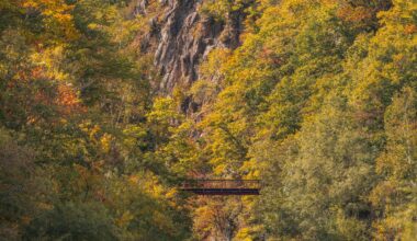 Fall colors in Hokkaido