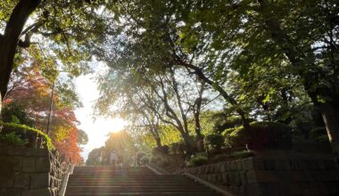 Snapped earlier today in Tokyo. Blanking on the name of the park!