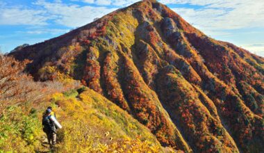 Fall Colors in Yamagata today [OC]