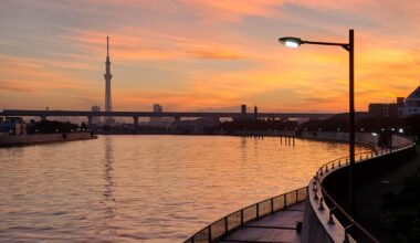 Unedited shot of Skytree today [OC]