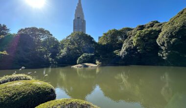 Shinjuku gyoen park in Tokyo