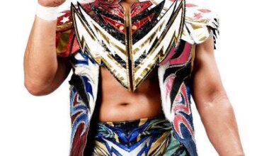 When NOAH has new/guest wrestlers, they're very quick to add player profiles to their website. Here's Tanahashi's