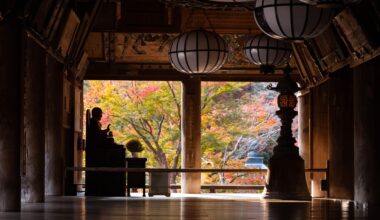 Next time you visit Nara skip the deer and head down south to the countryside to see all the amazing temples they have to offer. Hasedera[OC]