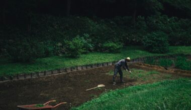 Meiji Jingu Gardens