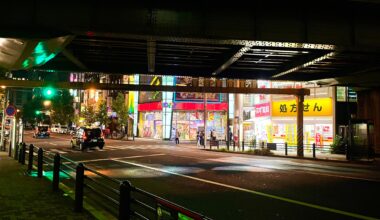 Under a Tokyo Bridge