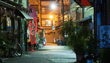 3AM Alley in Asakusa [OC]