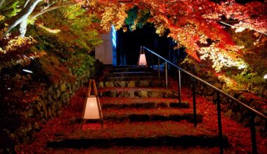 Fall foliage lightup in rural Kameoka