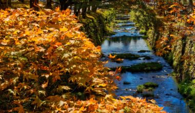 Mt. Koyasan in Wakayama prefecture, beautiful autumn leaves