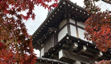 Enjoying the kōyō in Senshu Park (Akita City)