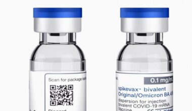 Japan approves Moderna's COVID-19 vaccine for BA.5 subvariant