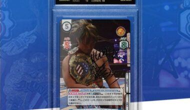 This Tanahashi Trading Card. RIP wallet.