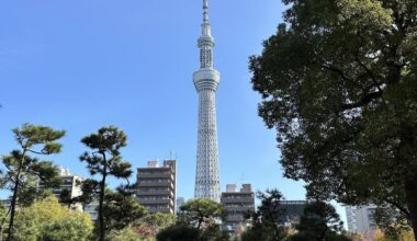 Tokyo Skytree, view from Sumida Park, 11/22/22