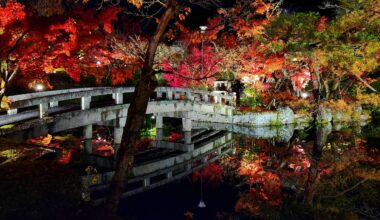 Eikando temple autumn illumination