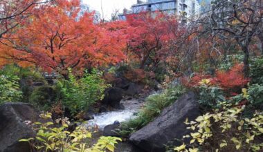 Autumn colors in Hinokicho Park (檜町公園) behind Tokyo Midtown in Akasaka/Roppongi