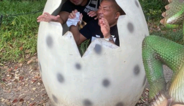 Just Ishii and Yoshi-Hashi in an egg...