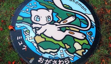 Pokémon Manhole in the Ogasawara Islands !