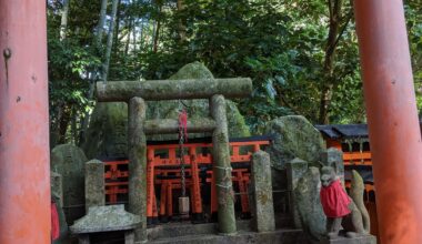 Fushimi Inari and the sleepy cat 2019