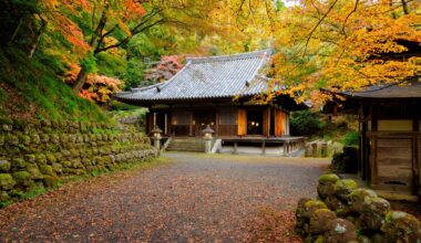 Autumn colours at Otagi Nenbutsu-ji Temple, Kyoto.