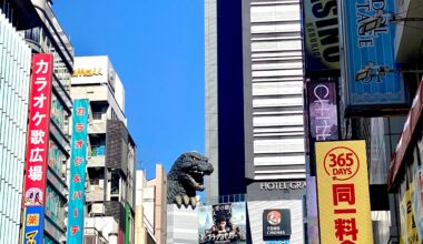 Shinjuku & Lizard Friend