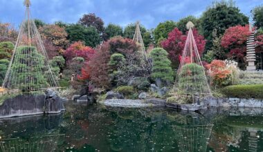 Tokyo. Autumn 🍂🍁💛 東京、秋