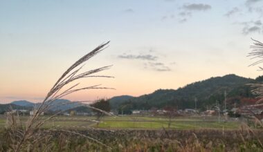 Shigaraki village farm fields