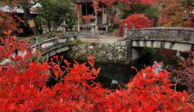 Kyoto in Autumn