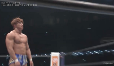 Probs the point where I lost my shit in the Ibushi - Okada match. Those punches !