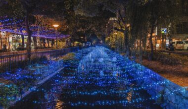 [OC] Canal Christmas decorations in Okayama