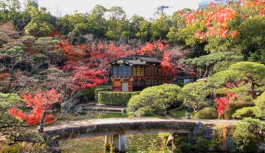 The last autumn leaves at Sorakuen, three years ago today (Hyogo-ken)