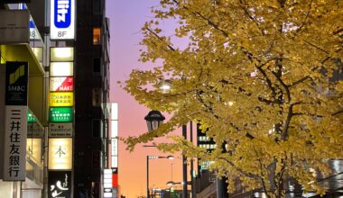 Golden hour in Roppongi