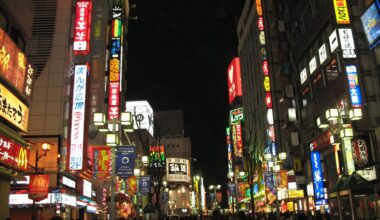 Shinjuku By Night