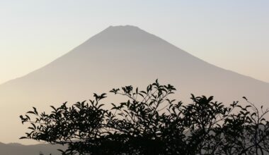 I visited beautiful Hakone during a business trip in 2006