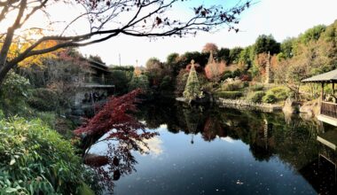 Japanese garden