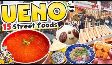 Ueno Tokyo Street Food Tour / Japan