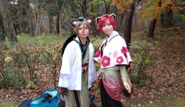 Two foxes I met in the forest (Boso Mura, Chiba)