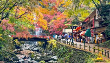 Fall(s) in Minoo Park, Osaka