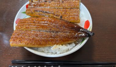 Una-juu using whole grilled eel at home