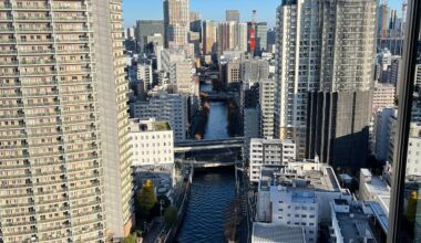 Meguro river view from the top