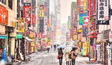 Snowy Kabukicho, Tokyo, photo by tumblr user tokyo-fashion