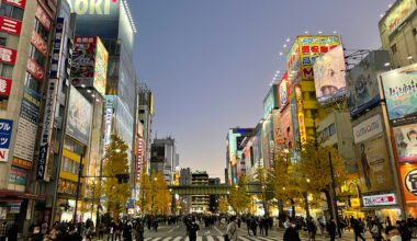 Akihabara car free day Sunday