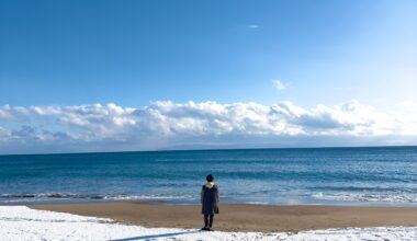 Snow on the Beach. Omori Beach, Hakodate