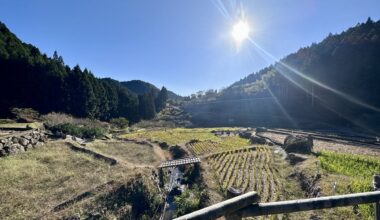 Rice field in Aichi-ken