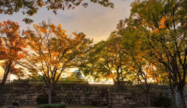 Autumn colours of Osaka Castle Park at dusk.