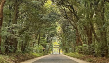 Meiji Jingu Kitasando Torii from Yoyogi Park