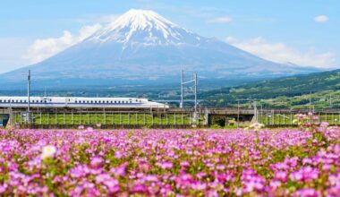 Bullet train and Mount Fuji