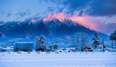 Morning purple light on mountains from home office