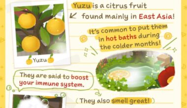 I love yuzu so much but outside of japan it’s hard to find